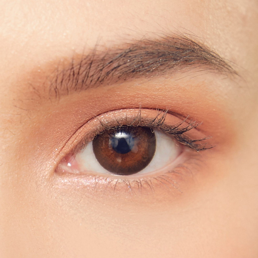 Neo Cosmo Dali Extra Size Brown คอนแทคเลนส์