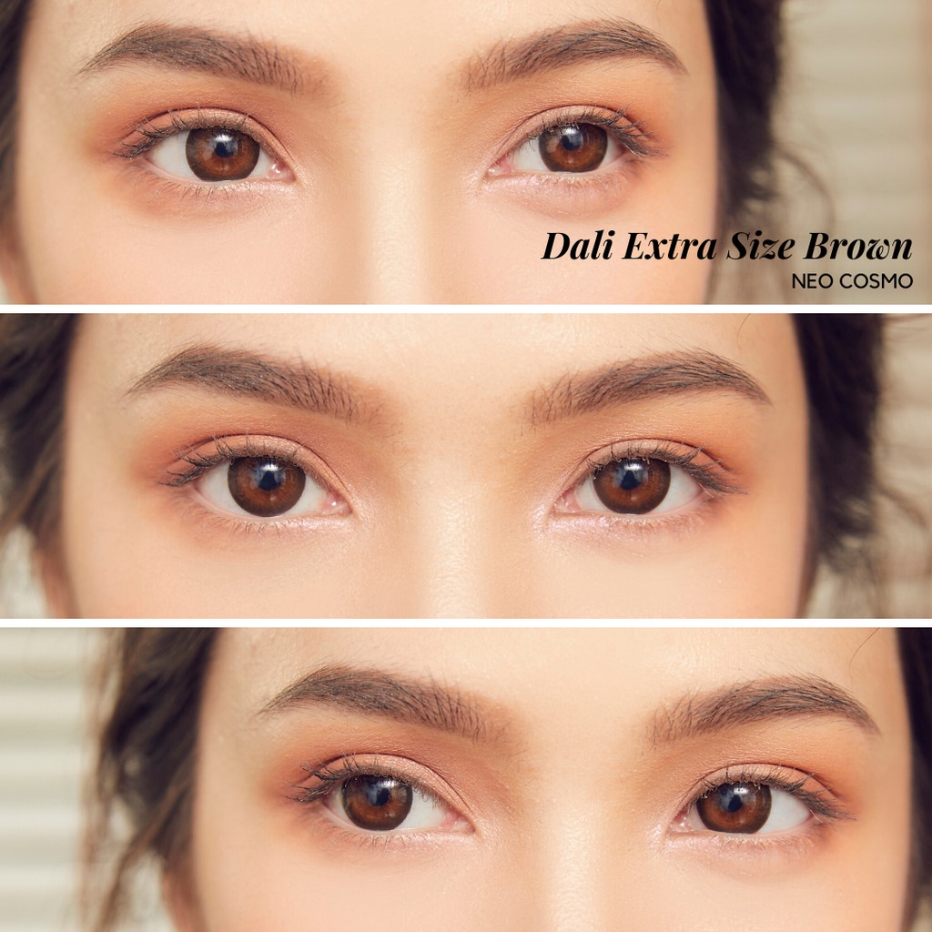 คอนแทคเลนส์ Neo Cosmo Dali Extra Size Brown