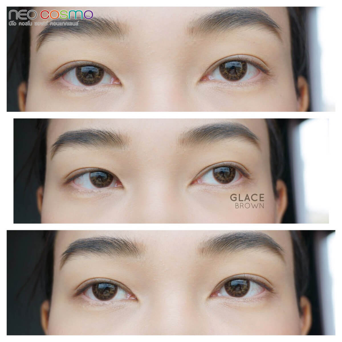 Neo Cosmo Glace Brown